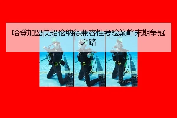 ha-deng-jia-meng-kuai-chuan-lun-na-de-jian-rong-xing-kao-yan-dian-feng-mo-qi-zheng-guan-zhi-lu-2-698.jpg